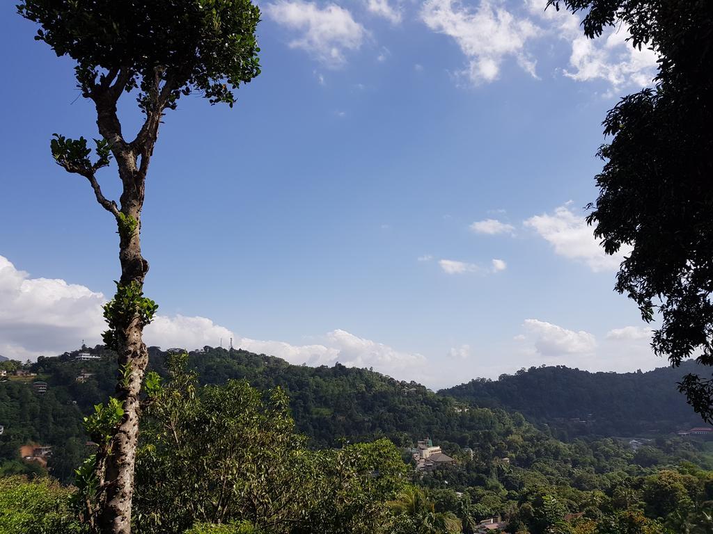Knight'S Heaven Apartment Kandy Exterior photo